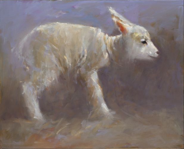 Agneau, Peinture à l’huile sur toile, 2014, 40 x 50 cm, Vendu
