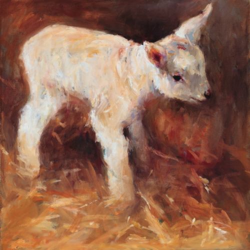 Lammetje, olieverf, 2009, 50 x 50 cm, Verkocht