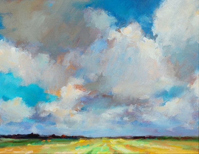 Fries landschap I