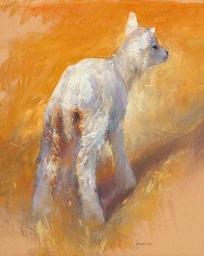 Lammetje, pastel, 2011, 52 x 42 cm, Verkocht