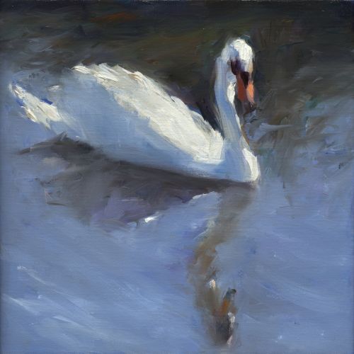 Zwaan, olieverf / linnen, 2022, 30 x 30 cm, Verkocht